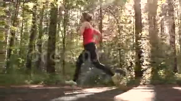 有魅力的女孩在树林里参加运动日落时年轻女子在公园里慢跑慢动作视频的预览图