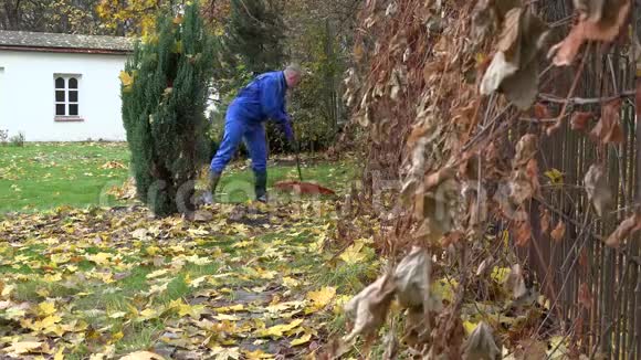 在寒冷的秋天男人拿着耙子在屋外的院子里耙树叶4公里视频的预览图