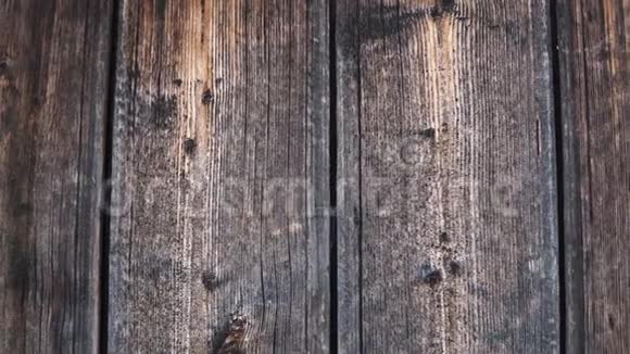 旧的从桌子或墙壁的时间板变暗一个木制的复古背景视频的预览图