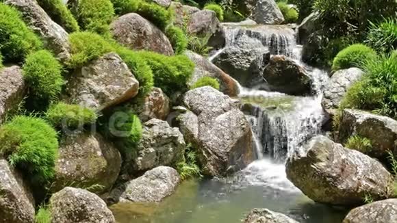 溪流流过苔藓的岩石视频的预览图