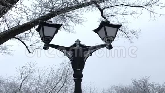 冬天公园里的老式灯笼周围的一切都覆盖着厚厚的霜视频的预览图