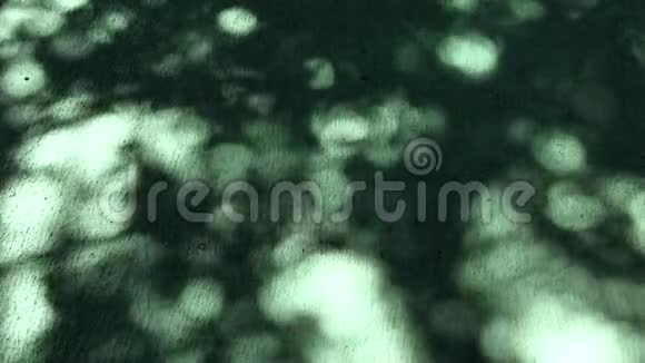 绿色背景上的夏季阴影视频的预览图