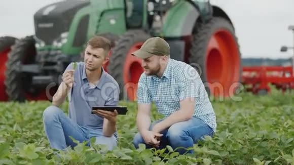 两名农艺师在田间工作研究植物的状况背景是一辆大型拖拉机视频的预览图