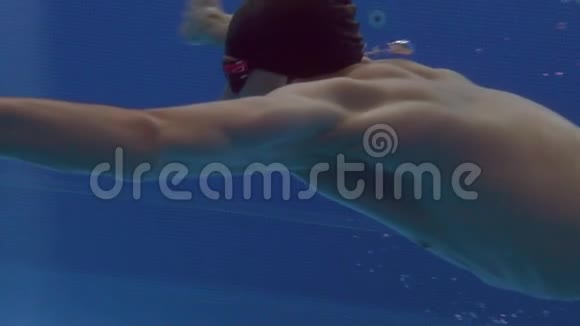 一位美丽的专业游泳运动员蛙泳侧视镜头跟随他特写和慢动作视频的预览图