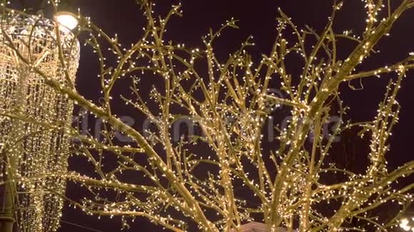 树枝被节日的灯光包裹着圣诞街灯视频的预览图