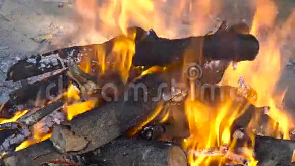 在火里烧木头视频的预览图