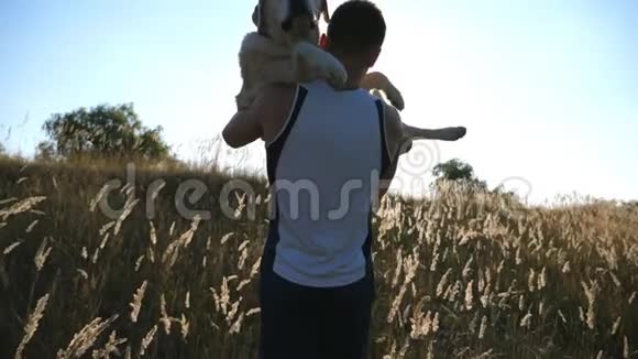 年轻人把他的狗背在田野上在大自然中与拉布拉多或金毛猎犬玩耍爱情和友谊视频的预览图