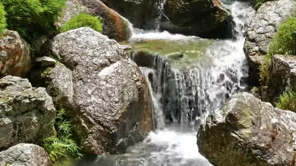 溪流流过苔藓的岩石视频的预览图
