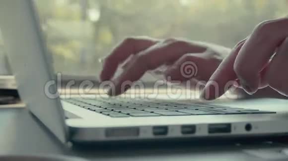 女人在火车上用笔记本电脑视频的预览图