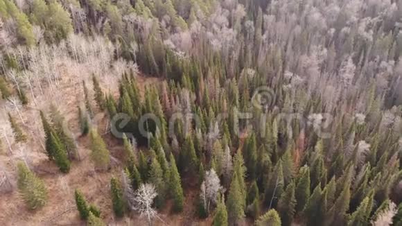 斯托尔比西伯利亚自然公园秋林空中拍摄视频的预览图