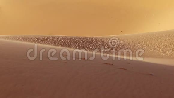 沙漠沙丘近景视频的预览图