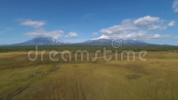 火山和森林边缘空中视频的预览图