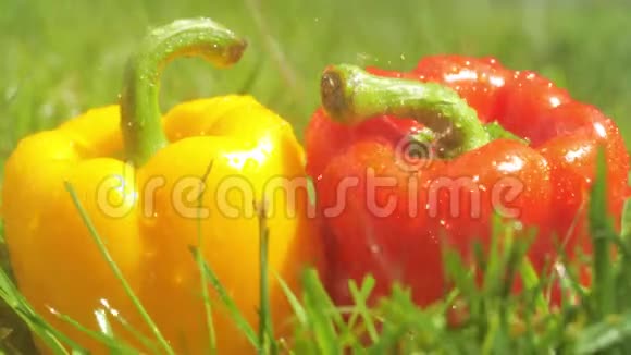 在红黄甜椒上洒水视频的预览图