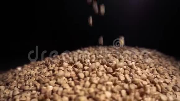 荞麦园被倒进一堆荞麦里视频的预览图