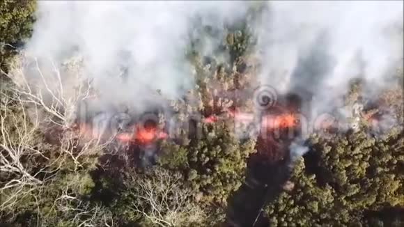 火山中的熔岩倾泻到森林和道路上夏威夷火山爆发视频的预览图
