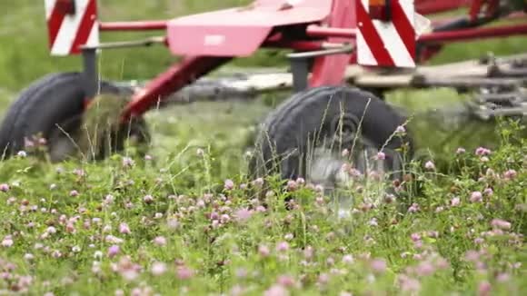 三叶草草地农红机切绿草坪视频的预览图