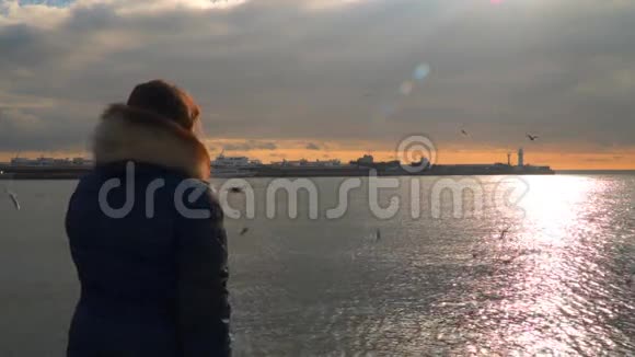 一个女人在日落时喂海鸥视频的预览图