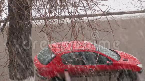 停了辆红色的车从窗户到街道的景色路过的车树的树枝视频的预览图