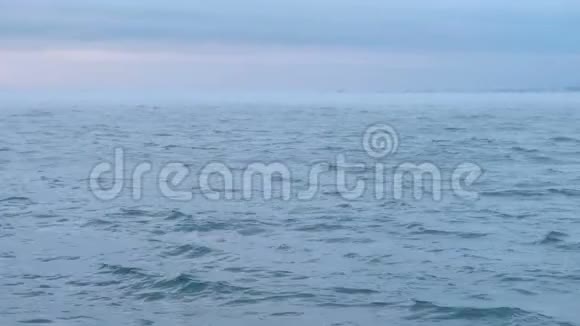 薄雾和雾气笼罩着海面美丽的海景粉红色的日落和蓝色的云彩平静的大海视频的预览图