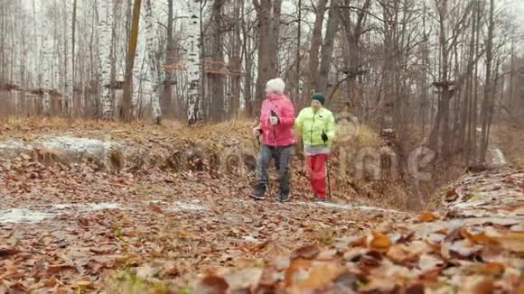 秋天公园的两名高级妇女接受了训练北欧在黄叶间散步视频的预览图