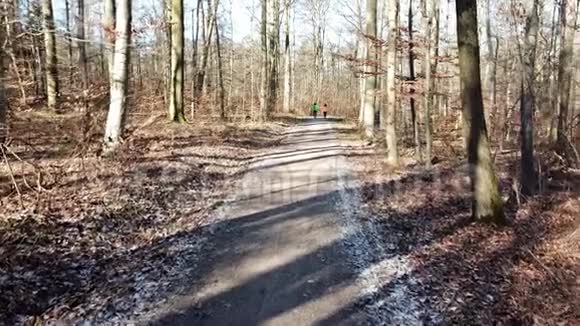 空中无人驾驶飞机俯瞰隆冬无雪的森林两个小伙子在背景中行走视频的预览图