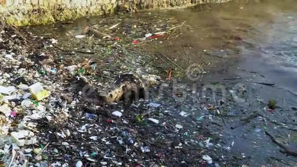 到海岸打击大量各种浪费活动的人越南海岸的垃圾污染视频的预览图