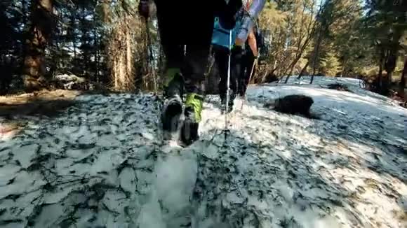 旅行者在雪地里穿过冬天的森林视频的预览图