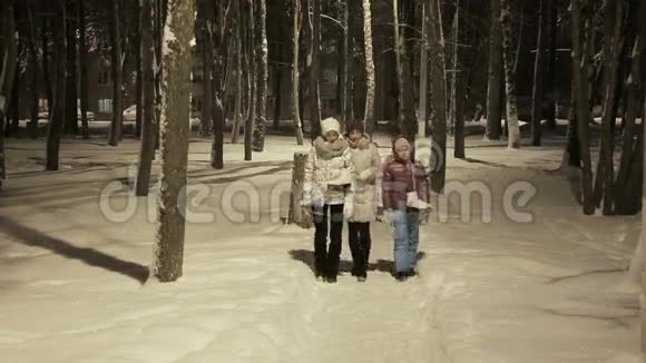 一家人在冬季公园散步视频的预览图