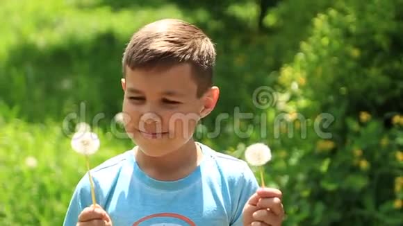 穿着条纹T恤吹蒲公英的小男孩春天阳光明媚的天气视频的预览图