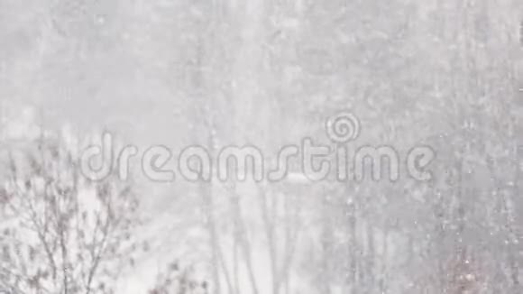 童话般的冬天天气美丽的降雪视频的预览图