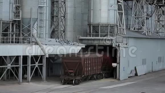 以农作物为货物运输的货运列车在靠近海上的大谷物码头上行驶卸粮视频的预览图