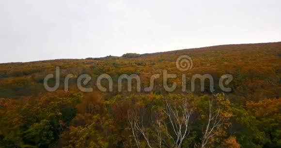 在锡霍特阿林生物圈保护区的山和海的背景下飞越秋天的树木视频的预览图