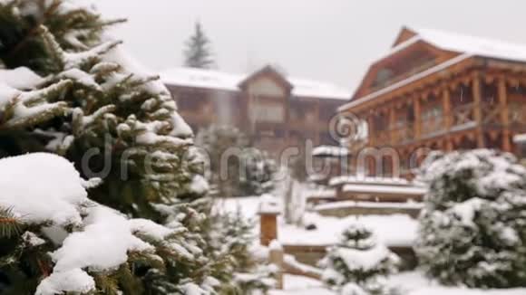 雪落杉树枝背景木屋山村滑雪场大雪寒冷视频的预览图