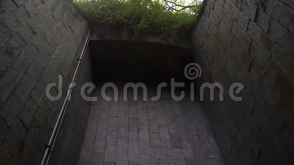 地下隧道上的树是公园里的砖步道视频的预览图