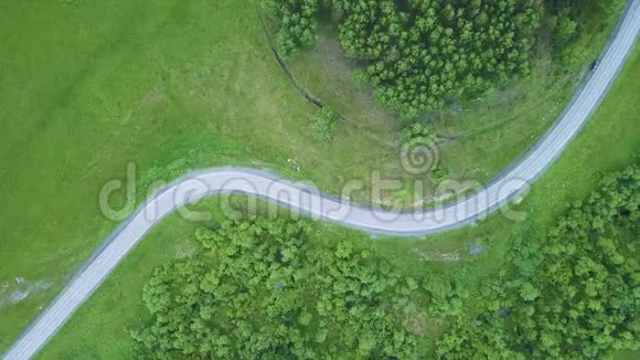 两车道森林道路的空中景观汽车卡车移动无人驾驶飞机在松树林的公路上飞行视频的预览图