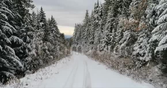 冬季穿越森林的道路视频的预览图