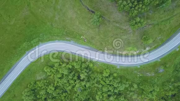 两车道森林道路的空中景观汽车卡车移动无人驾驶飞机在松树林的公路上飞行视频的预览图