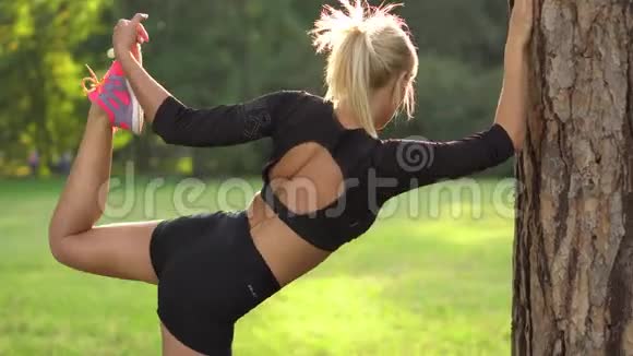 在大自然树附近做肌肉伸展运动的年轻女子视频的预览图