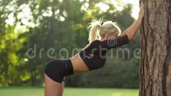 在大自然树附近做肌肉伸展运动的年轻女子视频的预览图