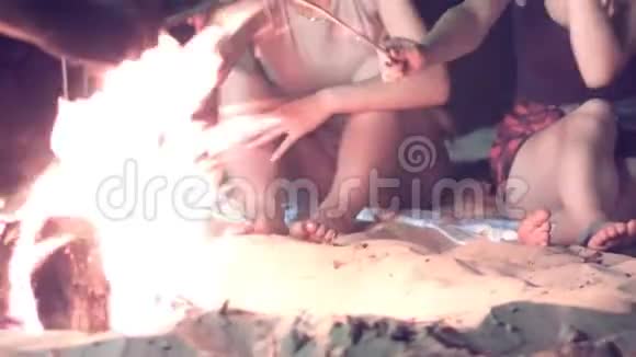 朋友们晚上在海滩上篝火旁烤棉花糖视频的预览图