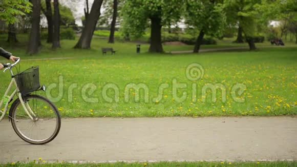 两个美丽的布鲁内特正在骑自行车一个接一个在城市公园春天可爱的青年妇女视频的预览图