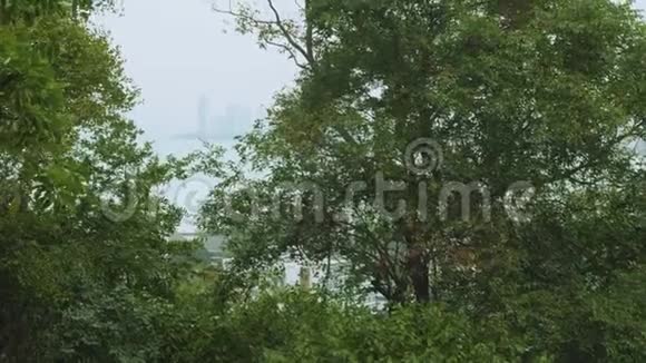 从芭堤雅市公共公园观赏达拉角度假胜地视频的预览图