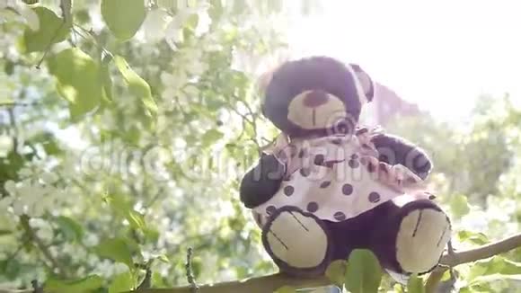玩具熊在树枝上视频的预览图