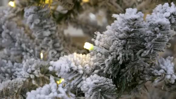 结霜的圣诞树装饰圣诞背景视频的预览图