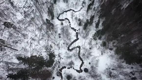 寒冷的冬季森林的空中景色视频的预览图