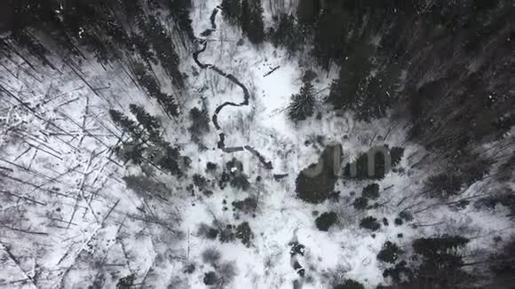 寒冷的冬季森林的空中景色视频的预览图