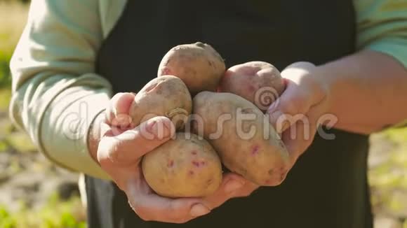 那个拿土豆的农民含有维生素的健康食品新鲜有机食品素食者的概念有机和视频的预览图