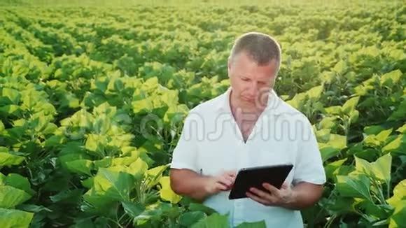 这个人是个中年农民头上有白发日落前傍晚在野外工作享受视频的预览图