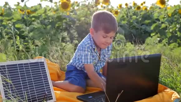 太阳能技术快乐的孩子使用太阳能电池驱动的笔记本电脑在向日葵的背景领域视频的预览图