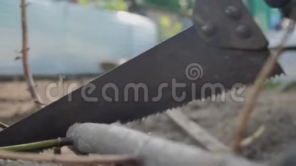 工人用手锯树枝手的生活方式工作钢锯人锯木特写慢动作视频的预览图